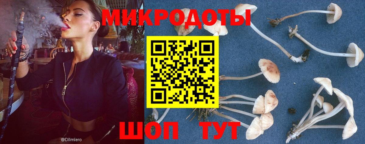 купить   Галлюциногенные грибы MAGIC MUSHROOMS  Псилоцибиновые грибы мухоморы  Вход с VPN  Заринск 