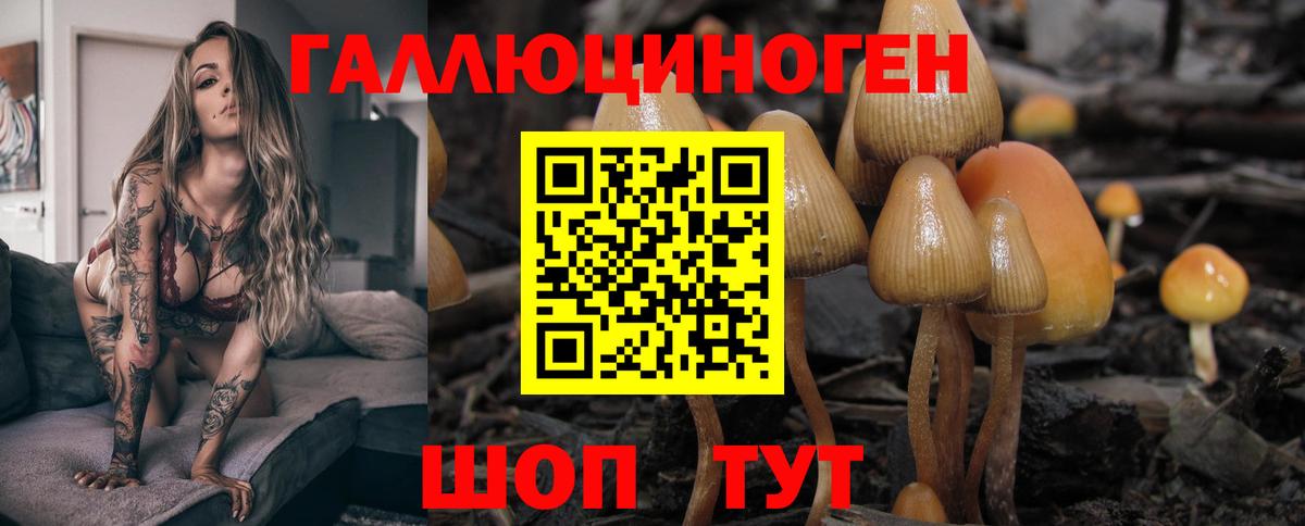 Галлюциногенные грибы мухоморы Заринск